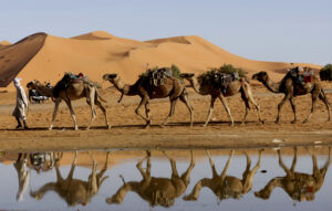 Rare Sahara floods bring Morocco’s dried-up ...